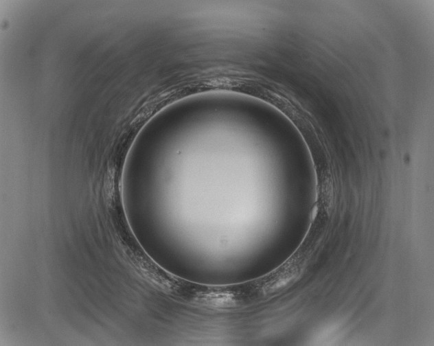 X0000084050554200702161509