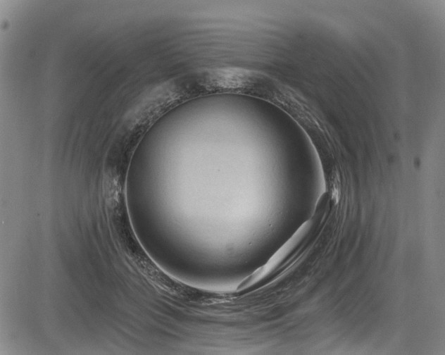 X0000084050555200702161509