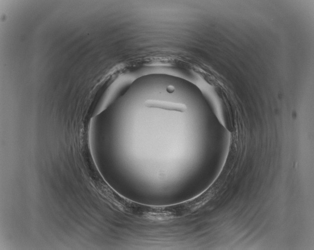 X0000084050556200702161510