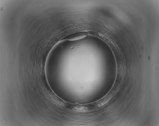 X0000084050557200702161510