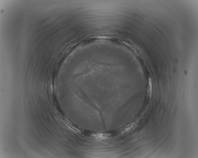 X0000084050558200702161510