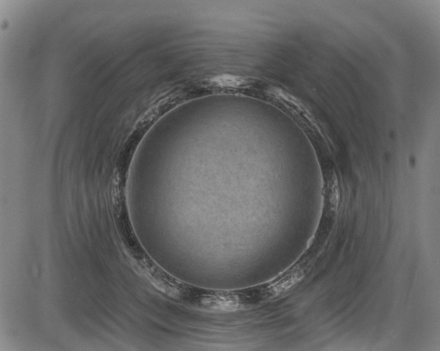 X0000084050559200702161510