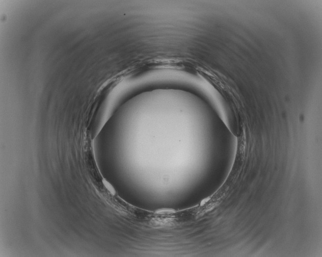 X0000084050560200702161510