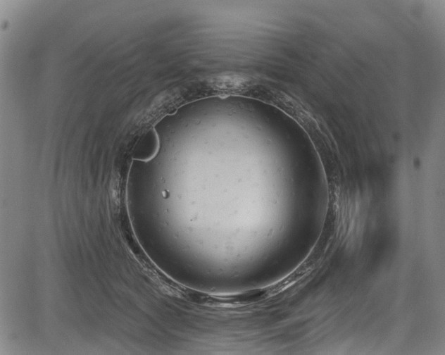 X0000084050561200702161510