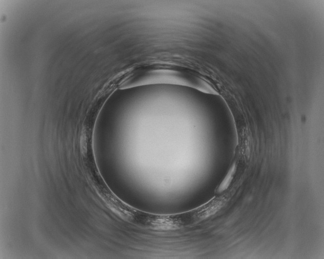 X0000084050562200702161510