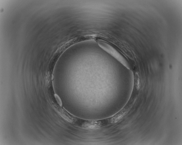 X0000084050563200702161510