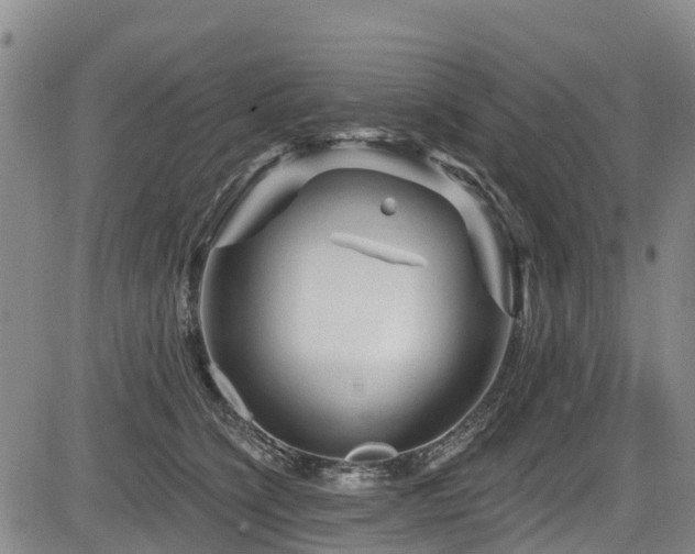 X0000084050564200702161510