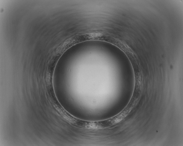 X0000084050565200702161510