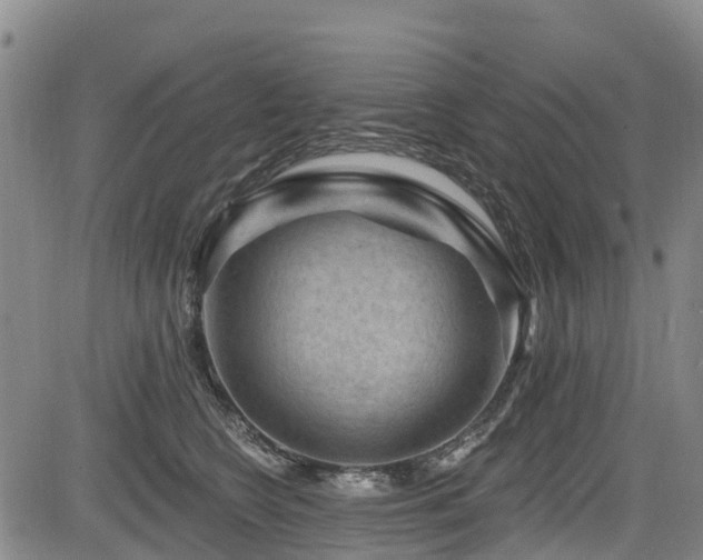 X0000084050566200702161510