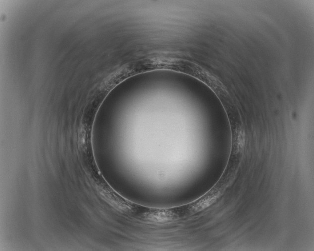 X0000084050567200702161510