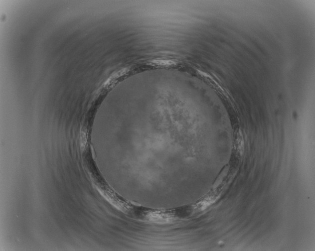 X0000084050568200702161510