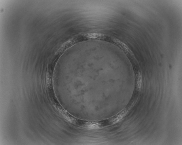 X0000084050569200702161510