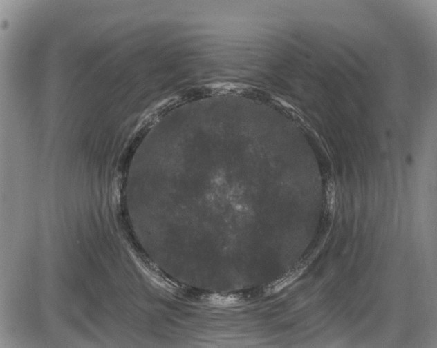 X0000084050570200702161510