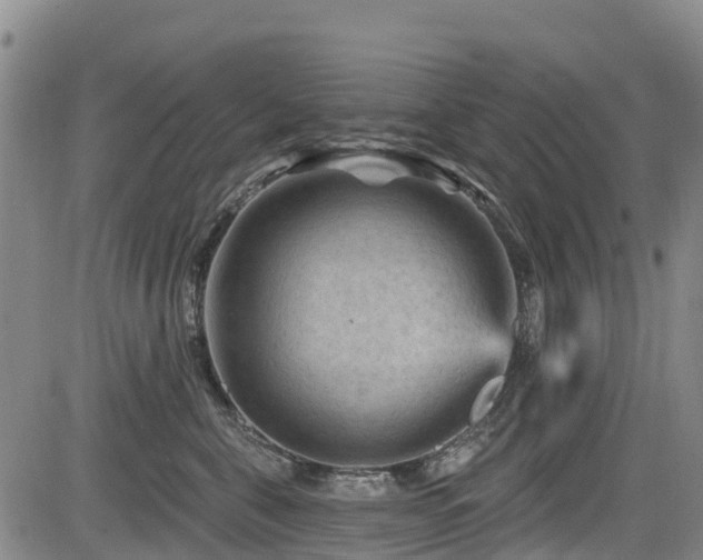 X0000084050571200702161510