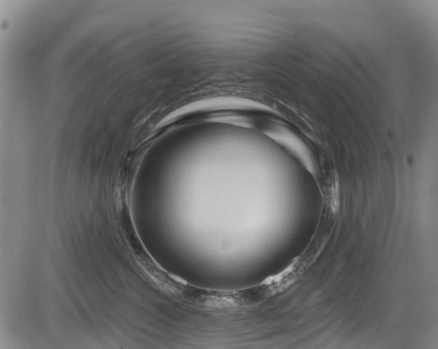 X0000084050572200702161510