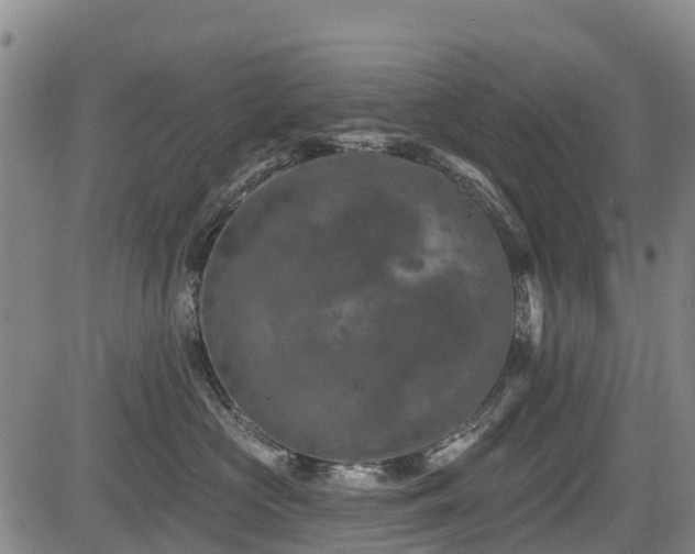 X0000084050573200702161510