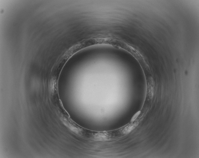 X0000084050574200702161510