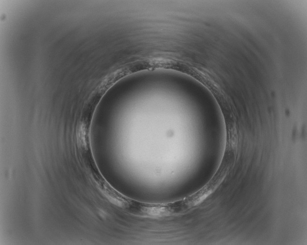 X0000084050575200702161510