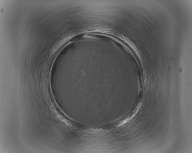 X0000084050577200702161509