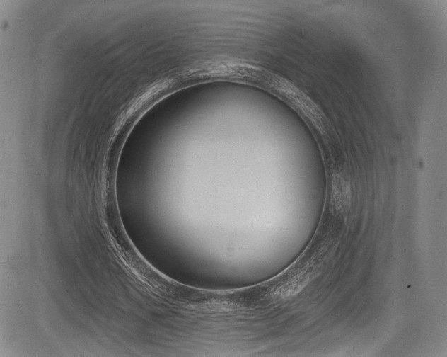 X0000084050578200702161509