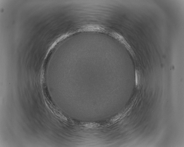 X0000084050579200702161509