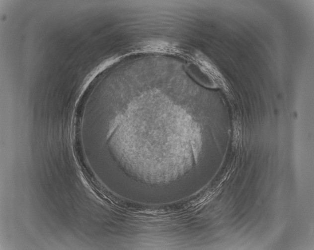 X0000084050580200702161509