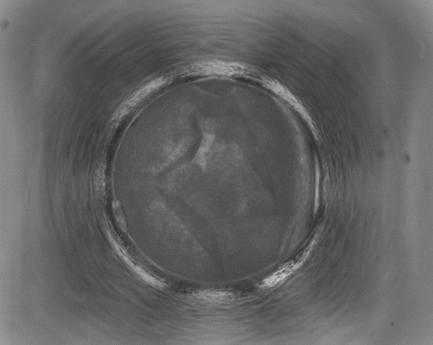 X0000084050581200702161509