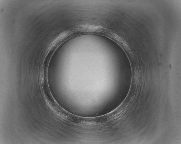 X0000084050582200702161509