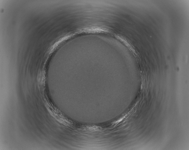 X0000084050583200702161509