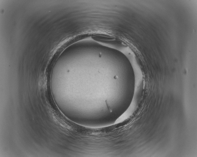 X0000084050584200702161509