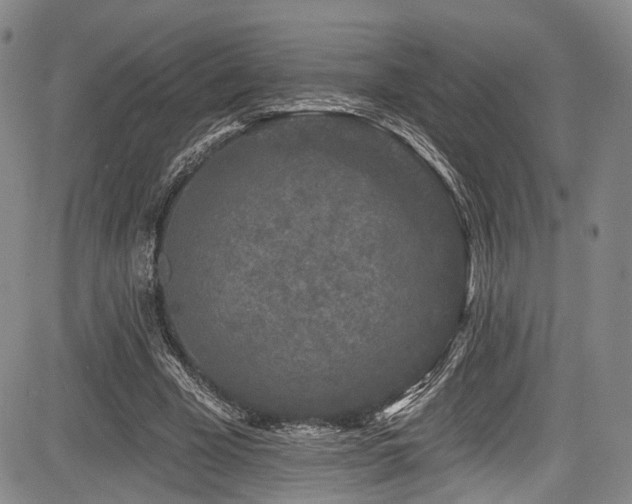 X0000084050585200702161509