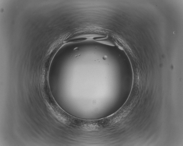 X0000084050586200702161509