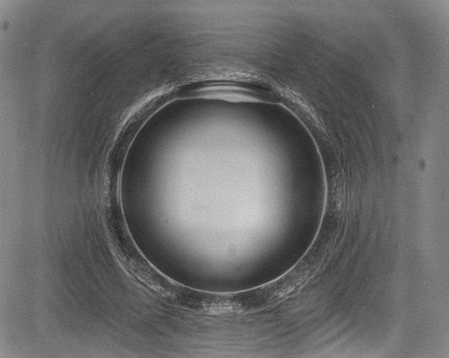 X0000084050587200702161509