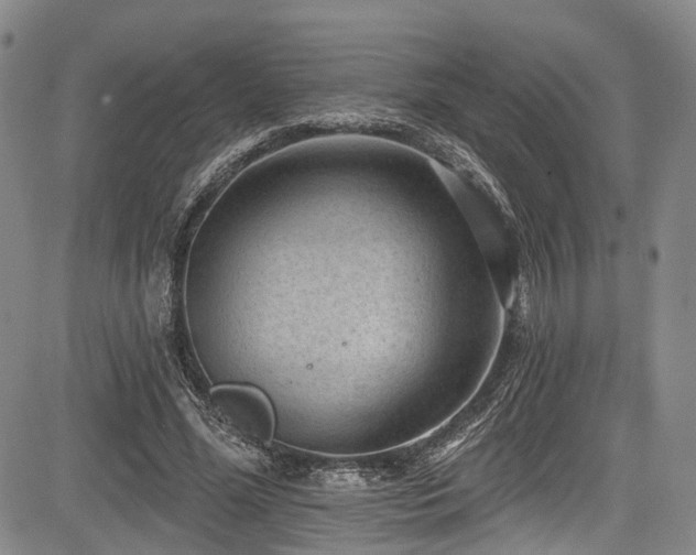 X0000084050588200702161509