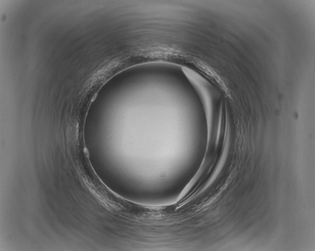 X0000084050589200702161509