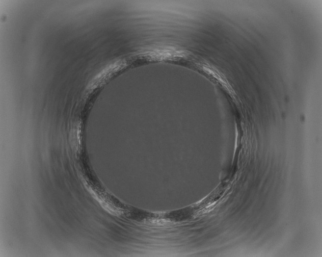 X0000084050590200702161509