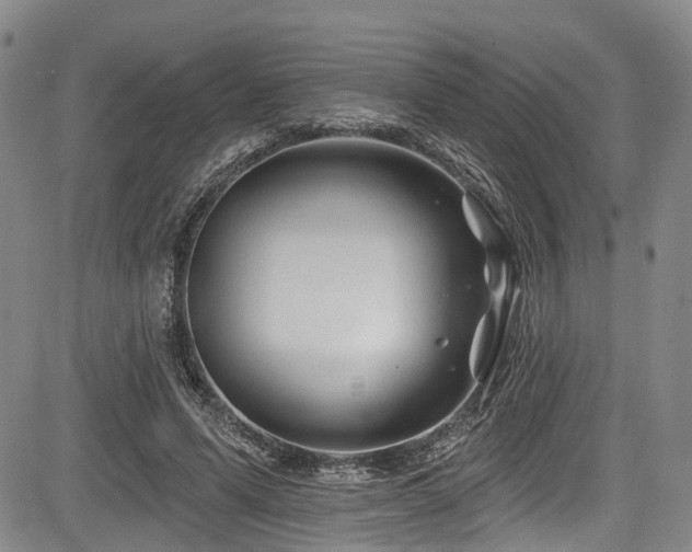 X0000084050591200702161509