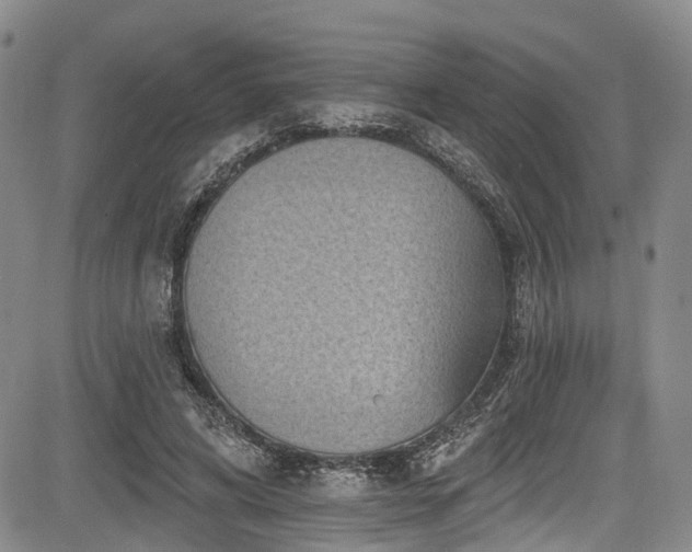 X0000084050592200702161509