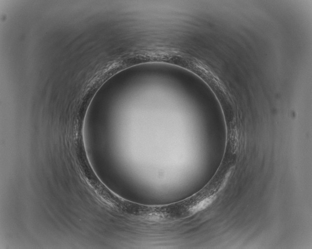 X0000084050593200702161509