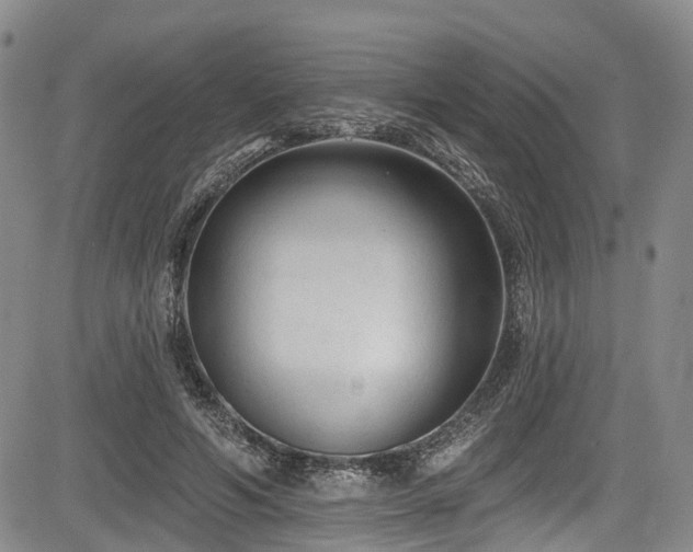 X0000084050594200702161509