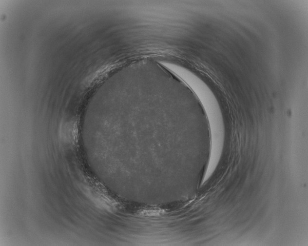 X0000084050595200702161509