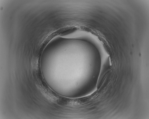 X0000084050596200702161509