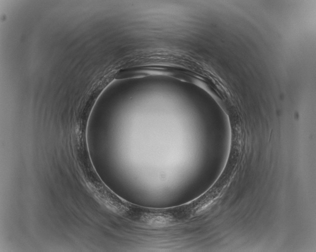 X0000084050597200702161509