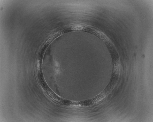 X0000084050598200702161509