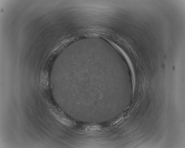 X0000084050599200702161509