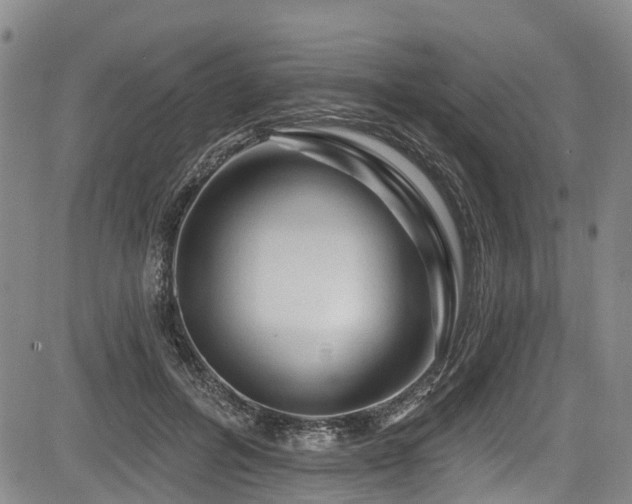 X0000084050600200702161509