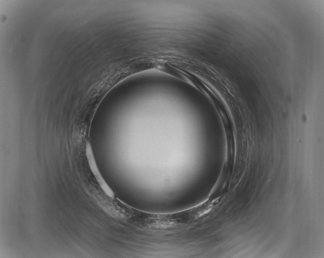 X0000084050601200702161509