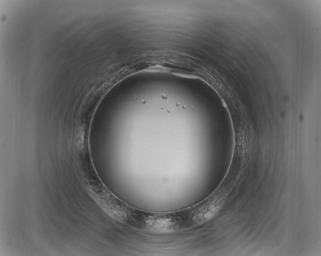 X0000084050602200702161509