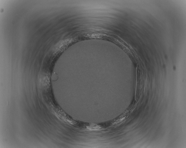 X0000084050603200702161509