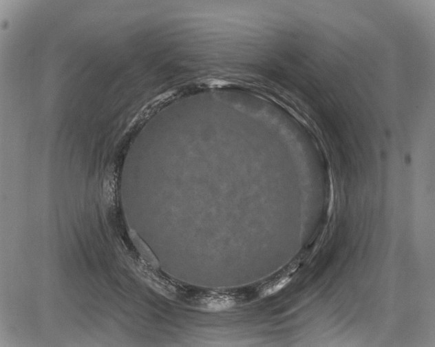 X0000084050604200702161509